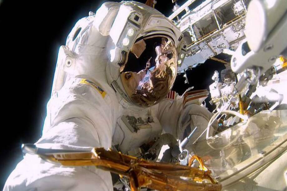 Se compararon los genomas de las cinco cepas espaciales con las tres cepas clínicas de la Tierra . / Nasa