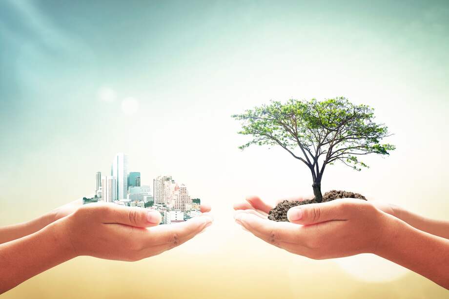 Mediante su rol de administrador de activos, Protección genera desarrollo en Colombia al impulsar grandes proyectos en el país. / Getty Images
Mauricio Rodríguez, líder de Inversiones Protección.