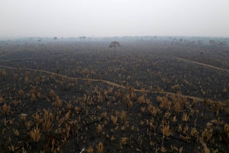 Fotografía aérea que muestra una zona quemada ilegalmente en el Parque Estatal Guajará-Mirím el 11 de septiembre de 2024 en la ciudad de Nova Mamoré (Brasil).