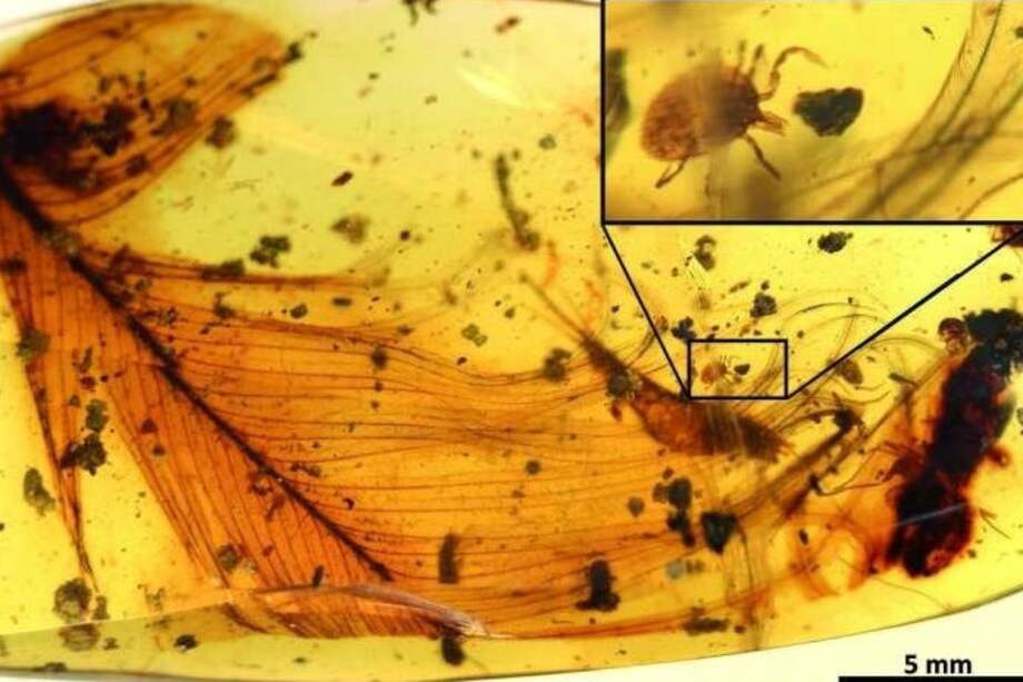 NATURE COMMUNICATIONS