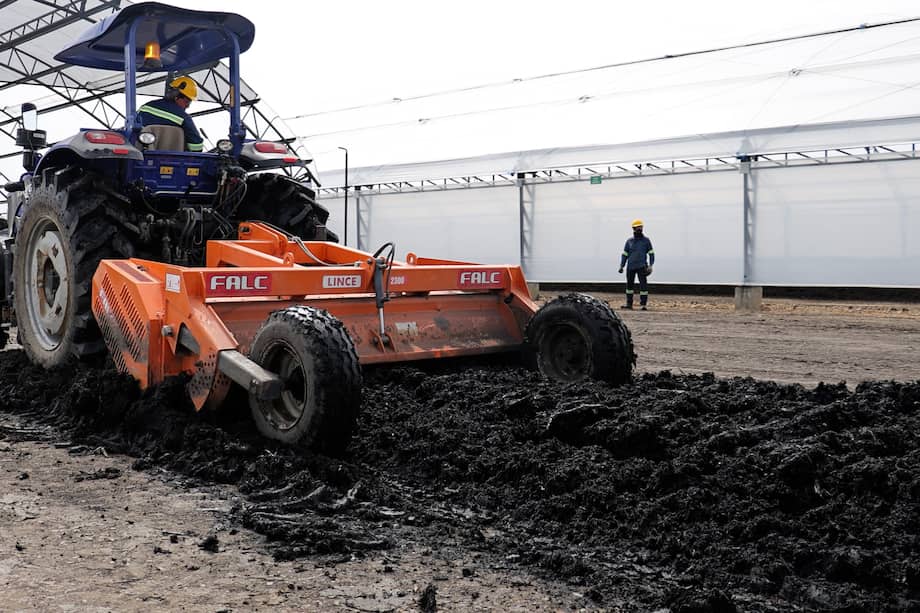 La planta abarca más de 6.500 metros cuadrados.