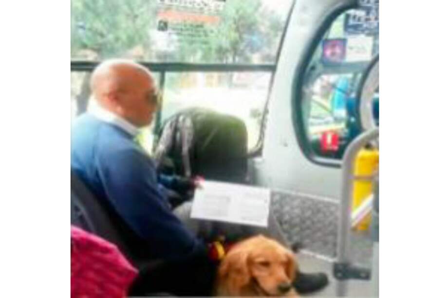 Invidente fue discriminado en SITP por llevar perro lazarillo