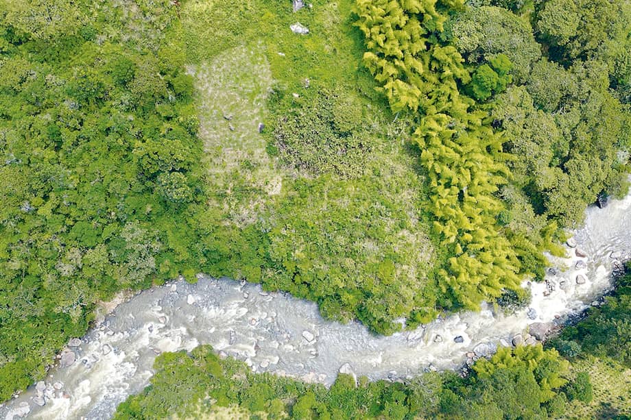 “Los debates ambientales tienden a derivar hacia dos salidas previsibles: la polarización política y la judicialización”: Germán I. Andrade.