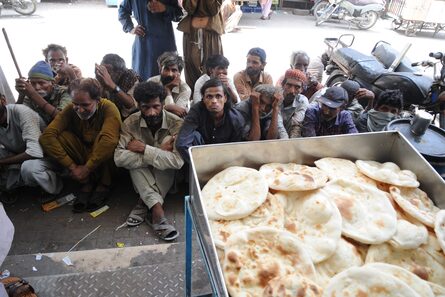 ¿Cómo reiniciar el sistema global de alimentos? Estos expertos buscan la respuesta