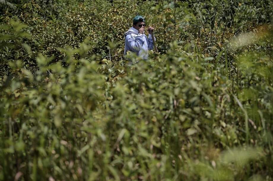 Geovanny pasó de ser raspador de coca, a líder municipal, a concejal y alcalde de San José del Guaviare. Hoy trabaja en la búsqueda de desaparecidos de la región, entre ellos, a su tío.