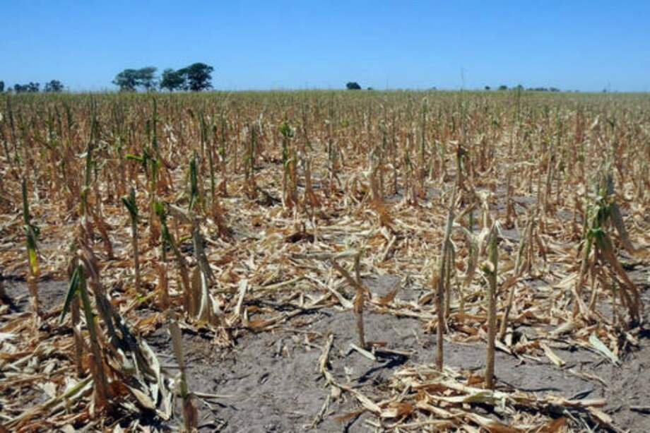 Archivo EFE / Archivo EFE