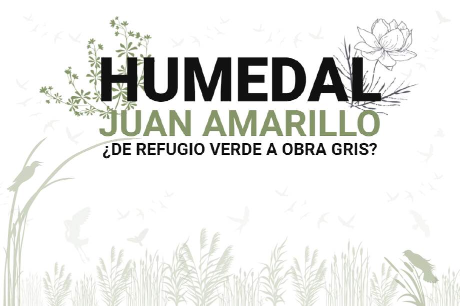 En humedal Juan Amarillo, ubicado entre las localidades de Suba y Engativá, en el occidente de Bogotá, se están realizando obras para construir senderos y un puente peatonal.
