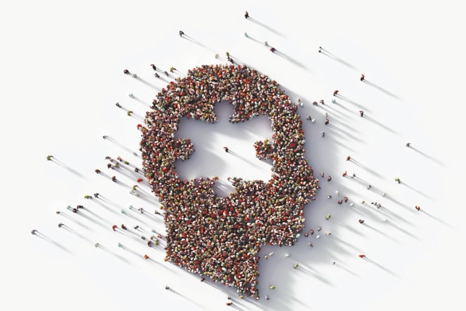 Imagen de referencia.