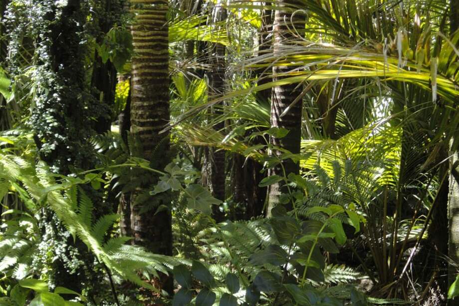 Si la capacidad fertilizante del CO2 disminuye, habrá fuertes consecuencias sobre el ciclo del carbono y por tanto sobre el clima.