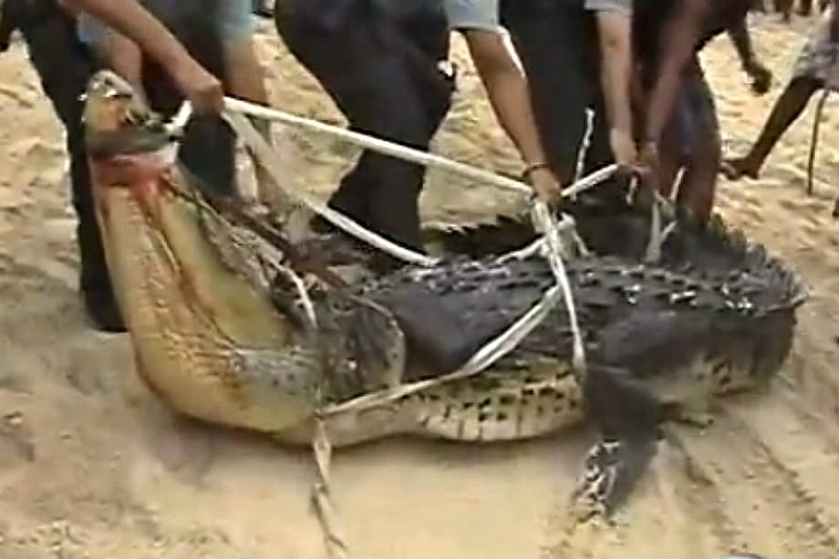 Esta es una de las imágenes del video de se conocío por redes sociales.