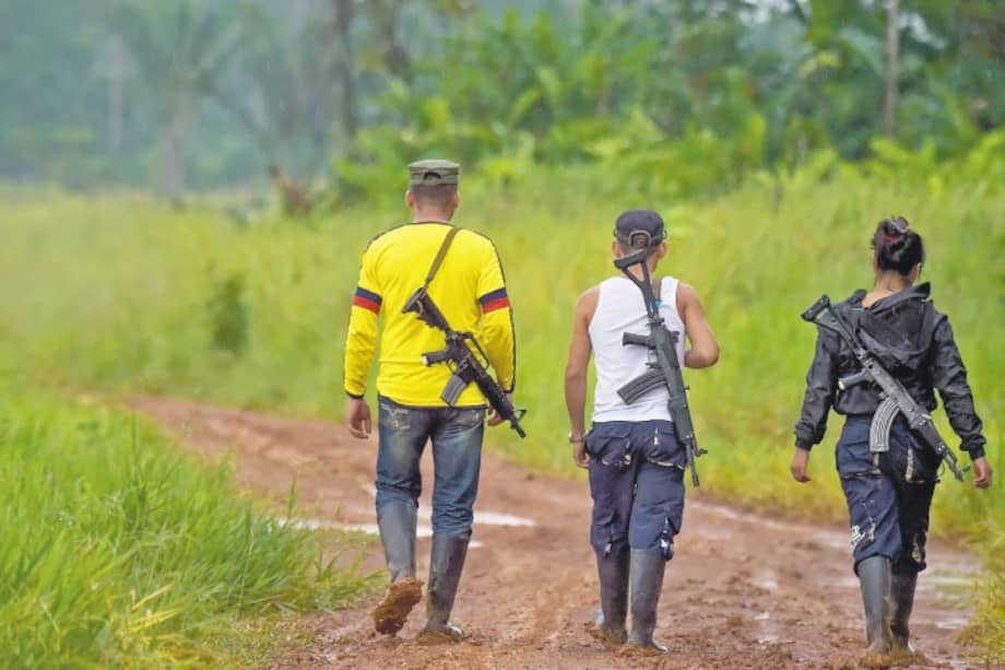 Se estima que la disidencia de las Farc oscila entre las 800 y 1.000 personas. / AFP