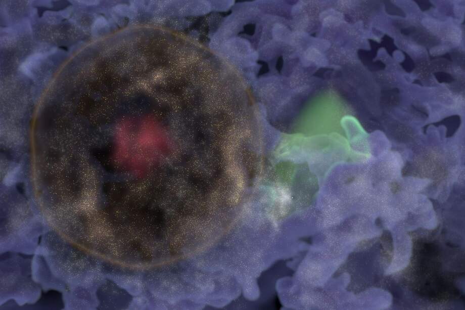 Ilustración de Ho'oleilana. La región roja (izquierda) muestra la capa cerrada con galaxias individuales. /Universidad de Hawai