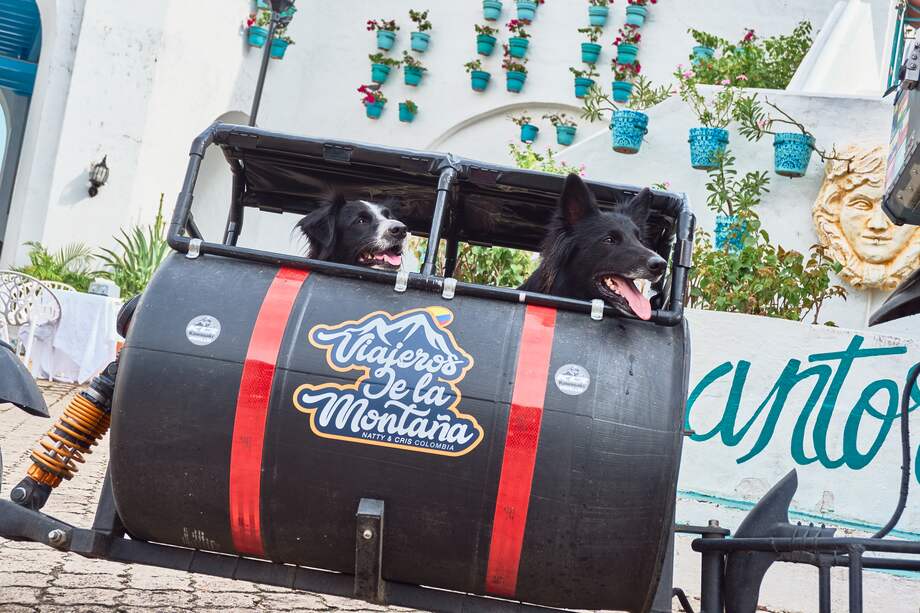 Lu era la mascota de Cristian desde mucho antes de comenzar sus viajes en moto. Greta, por su parte, fue encontrada abandonada en un centro comercial de la ciudad de Medellín y la pareja decidió adoptarla.