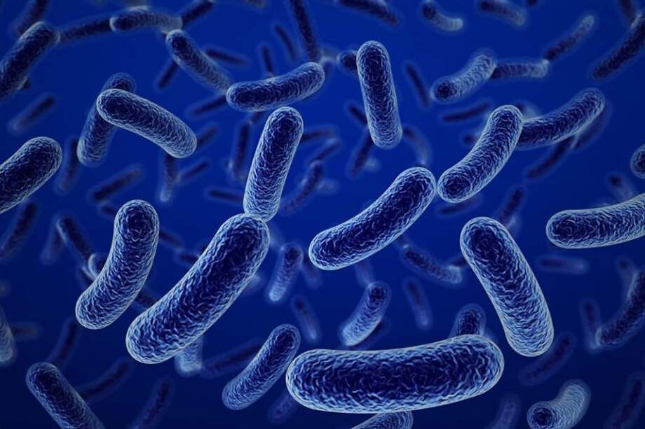 Delatados por nuestras bacterias