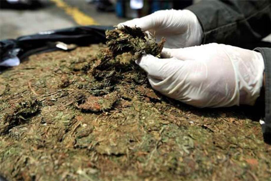 Duro golpe al tráfico de marihuana en Bogotá