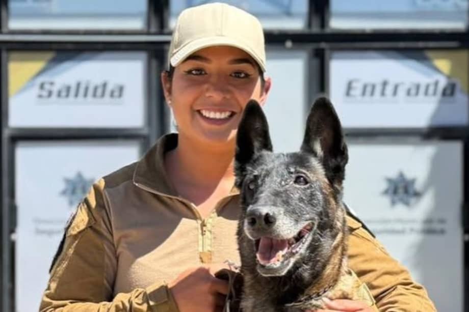 Bruma recibió un homenaje de sus compañeros del Escuadrón K-9 en su último día de servicio.