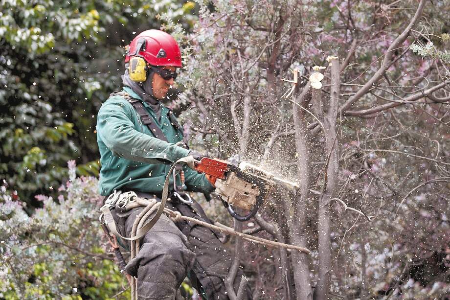 Archivo El Espectador.