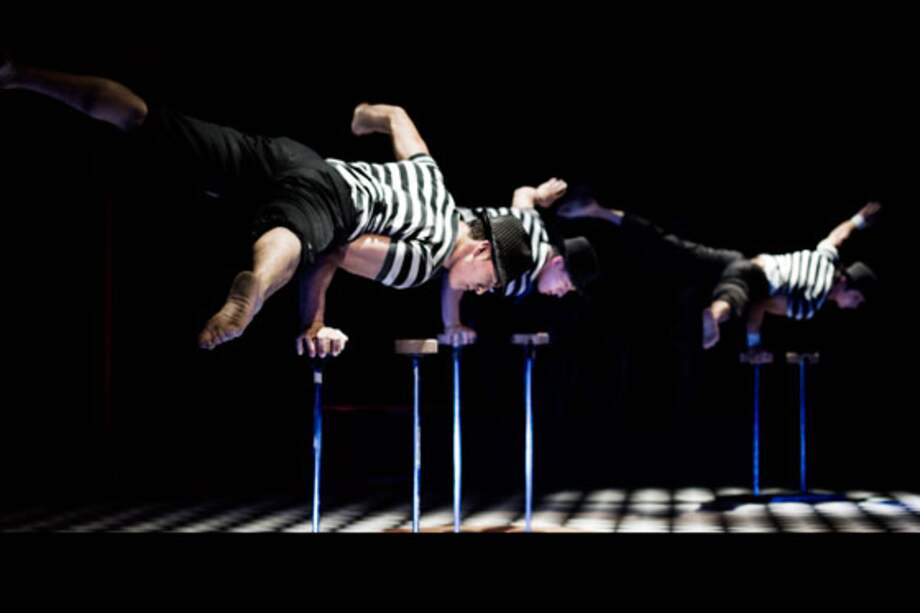 Imagen de la obra "Las 7 vidas del gato".