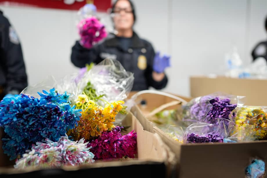 Exportación de flores. Imagen de referencia.
