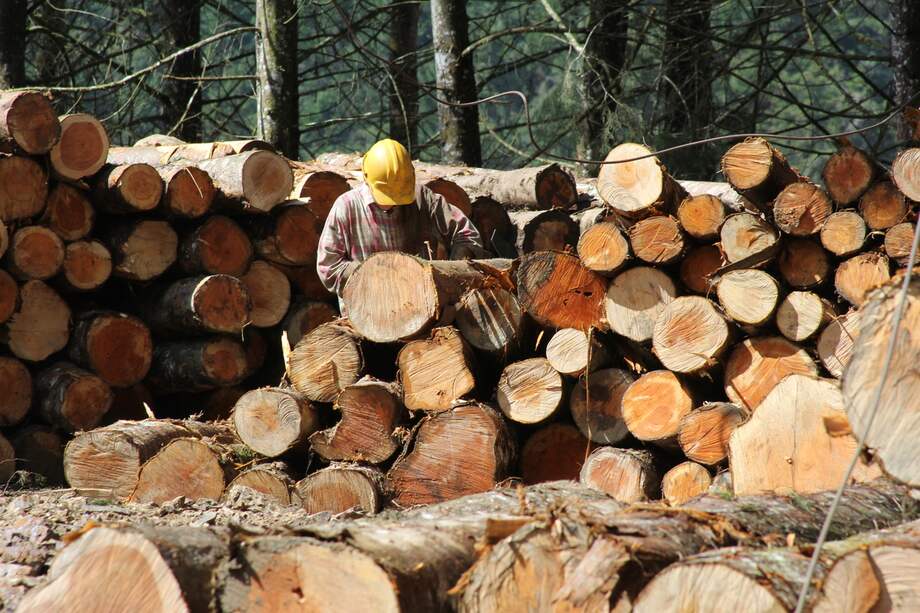 Un poco más del 50% de los casi 60 millones de hectáreas de bosques en el país pertenecen a comunidades étnicas o campesinas por lo que es clave gestionar el aprovechamiento sostenible de los bosques de la mano de ell@s.