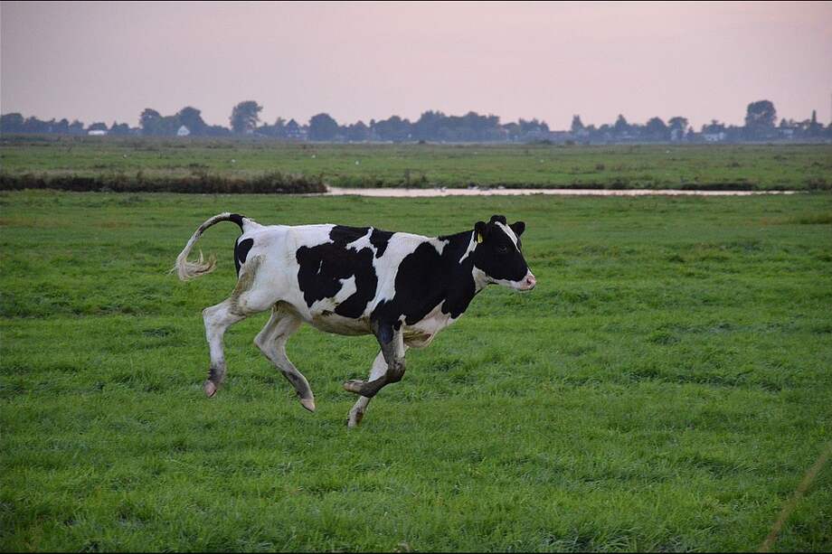 Foto de referencia / Pixabay