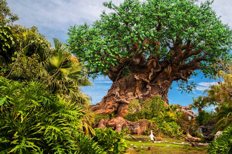 Se realizarán actividades que ayudarán a los huéspedes a conectarse con la magia de la naturaleza.