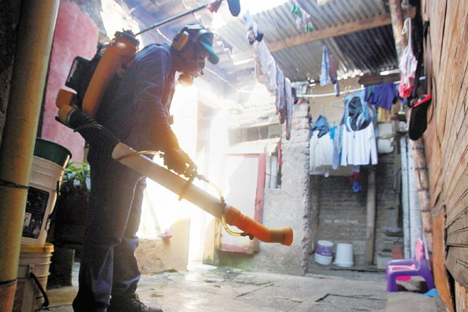 El insecto fue encontrado en el municipio de Bello, Antioquia. Aún no hay casos de transmisión. /