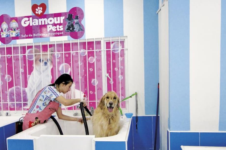 Bark Mall, ¡para humanos y mascotas!