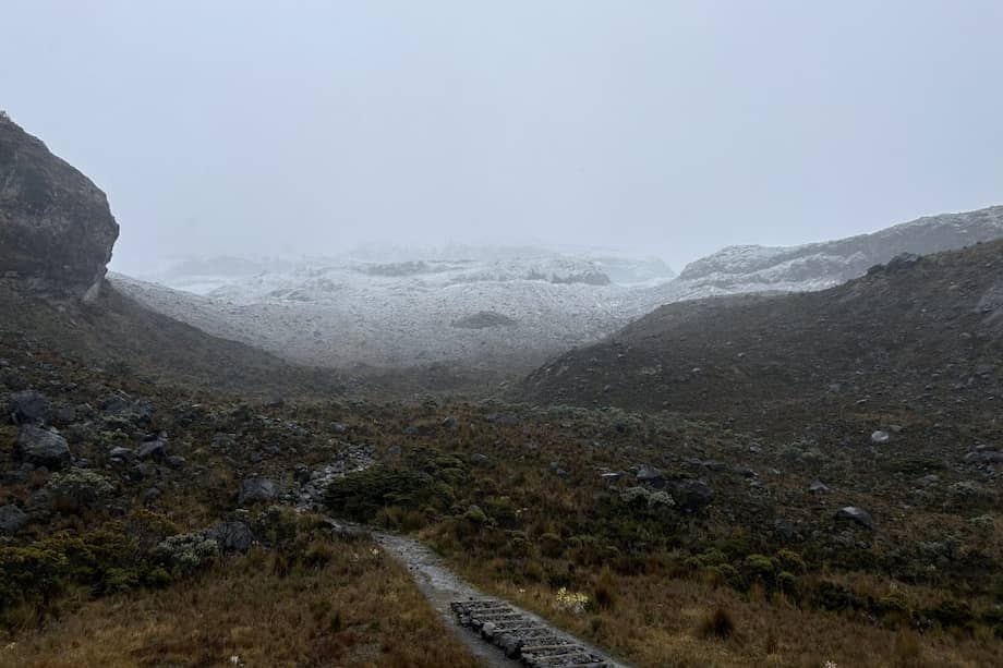 “Los Parques Nacionales han sido espacios de resistencia e insisten en ser lugares de construcción de paz”: Sandra Vilardy