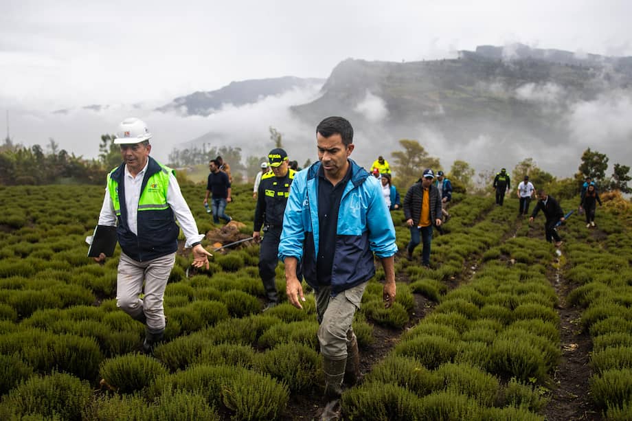 Los proyectos han dejado mayor abastecimiento hídrico, fortalecimiento de las plataformas campesinas del departamento y municipios con capacidades para enfrentar los efectos del cambio climático.