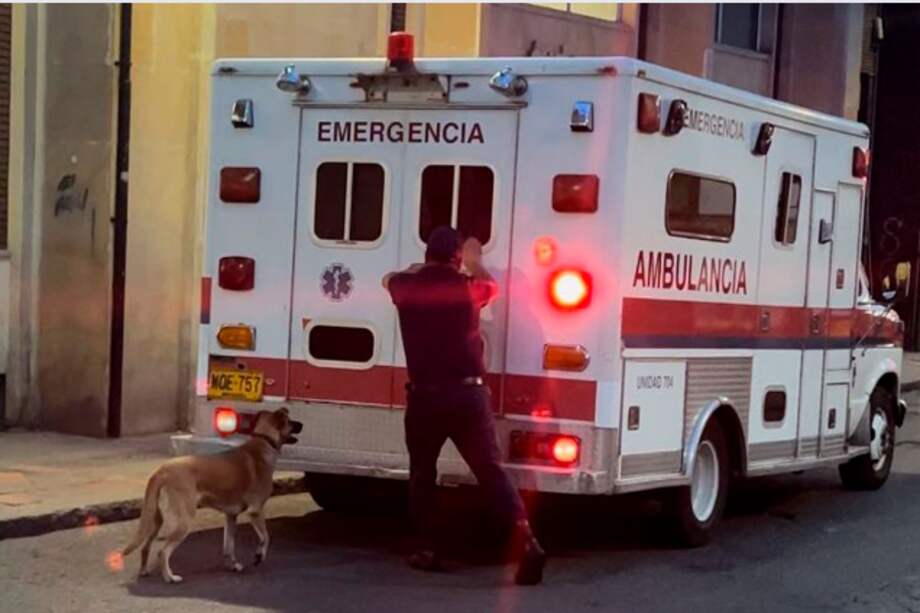 Toño, el perrito que corre detrás de una ambulancia para no dejar a su amo