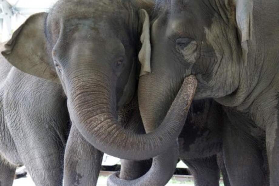 En 2019 más de 1.600 estudiantes visitaron White Oak y participaron en sus programas educativos.