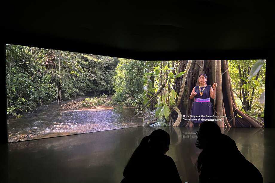 "Forest Mind" es la instalación de Ursula Biemann que se inaugurará el 9 de noviembre.