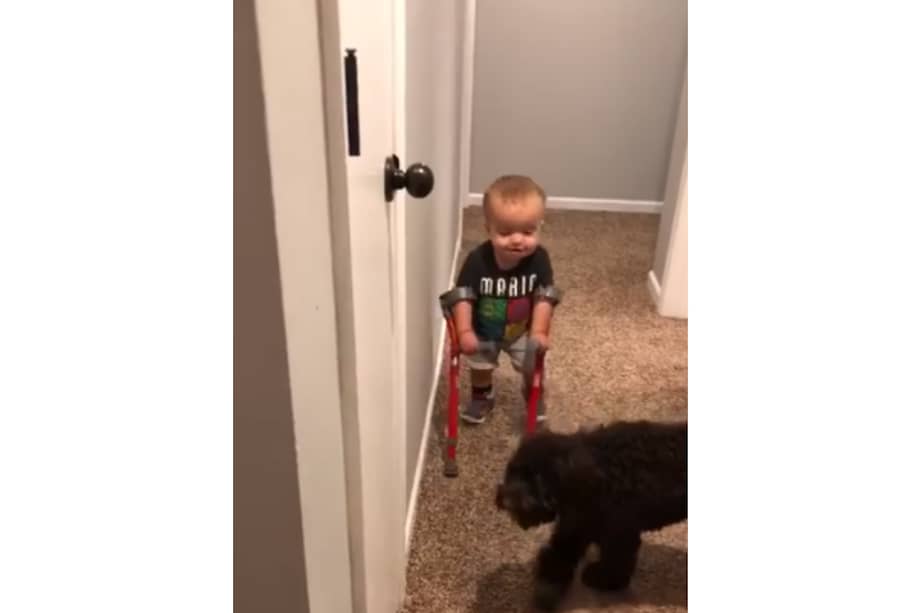 Captura de video / Defying Odds: Roman's Journey