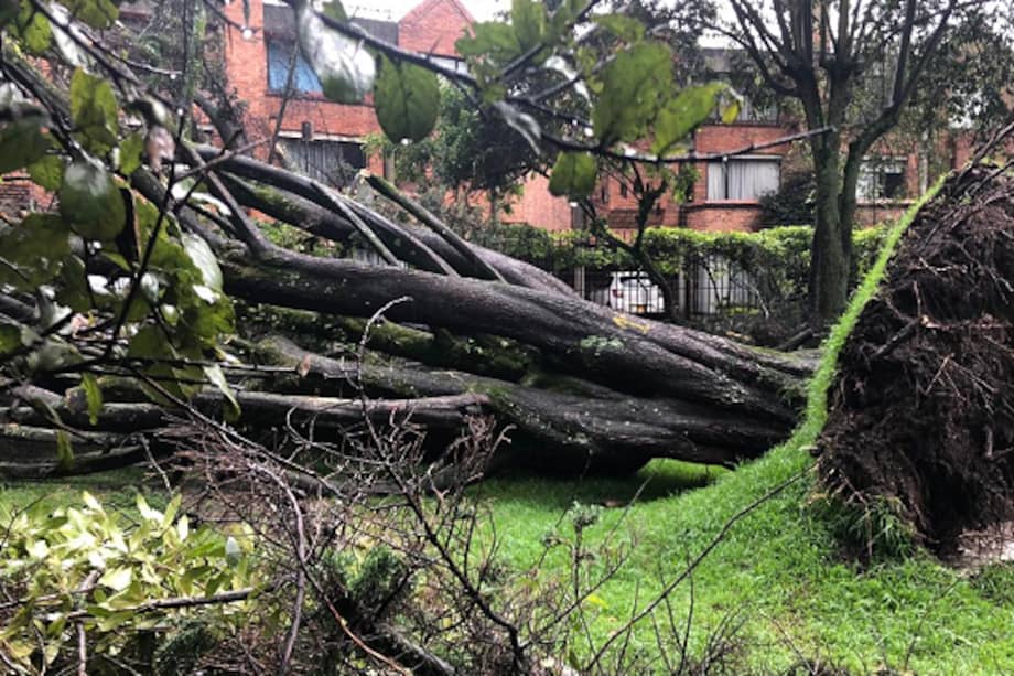 Tomada de: Alcaldía Mayor de Bogotá.