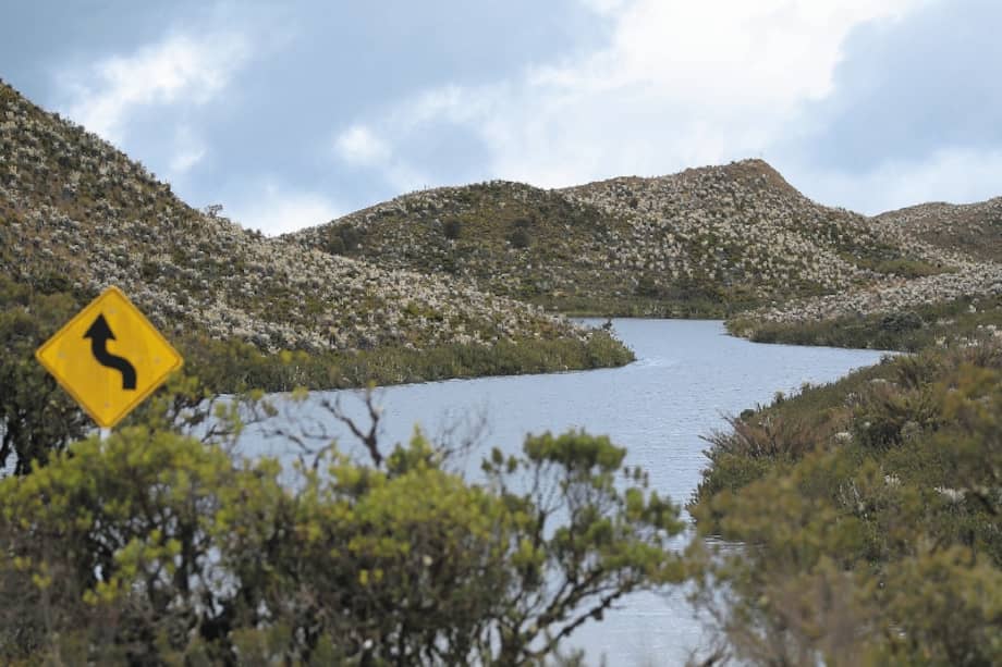 El equipo desarrolló una hoja de ruta para restaurar los páramos colombianos. / Mauricio Alvarado