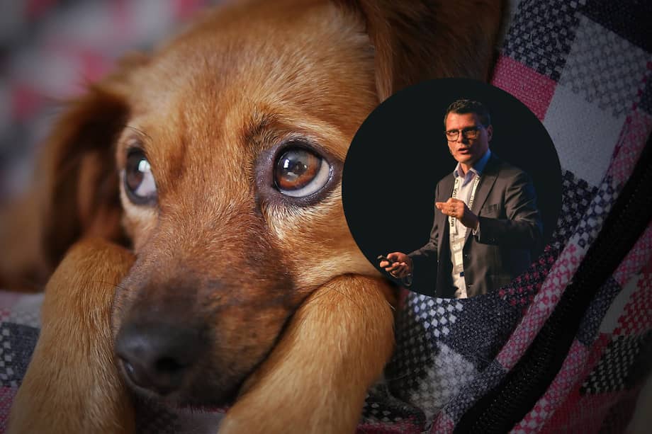 Zysman afirma que ha tenido que desarrollar fortaleza emocional para tratar pacientes que muestran signos de dolor en todo su cuerpo.