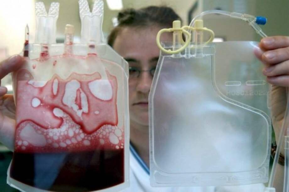 Archivo EFE / Archivo EFE