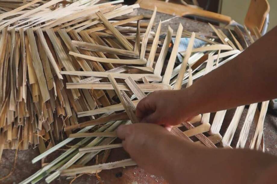 Las personas que se encuentren traficando especies silvestres podrán ir a la cárcel con penas desde 4 años. / Corpochivor