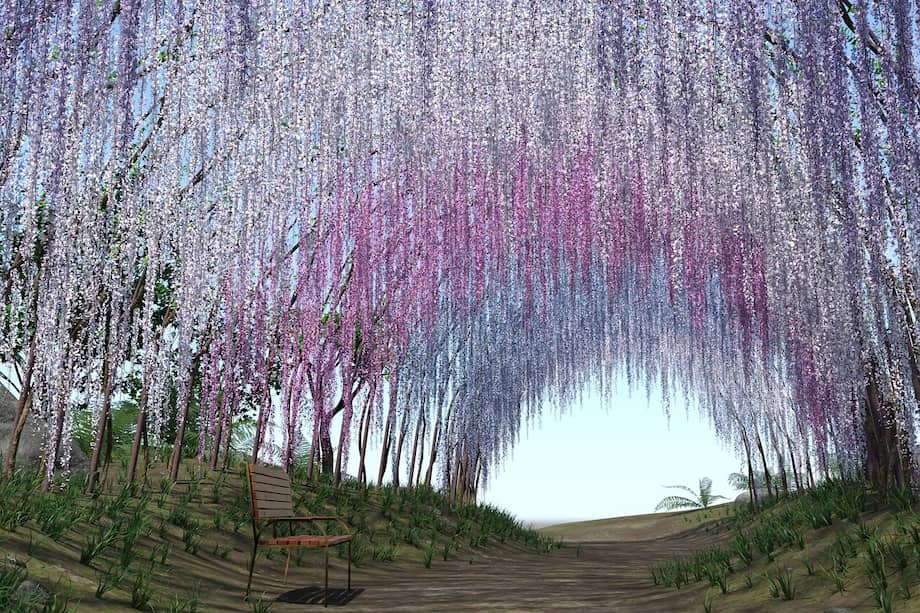Desde espectáculos florales como los túneles de glicinas en Kawachi Fuji hasta los paisajes históricos de Hama-rikyu o los delicados arreglos del Jardín Kiyosumi, estos espacios no solo ofrecen belleza visual