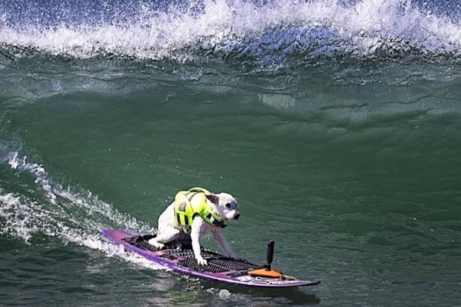 Su última ola quedó registrada el 7 de marzo de 2026, semanas antes de su partida.