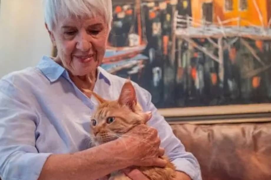 Los gatos corren muchos riesgos en la calle. Si su gato se escapa, búsquelo inmediatamente, avise a sus vecinos, contacte refugios locales, etc.