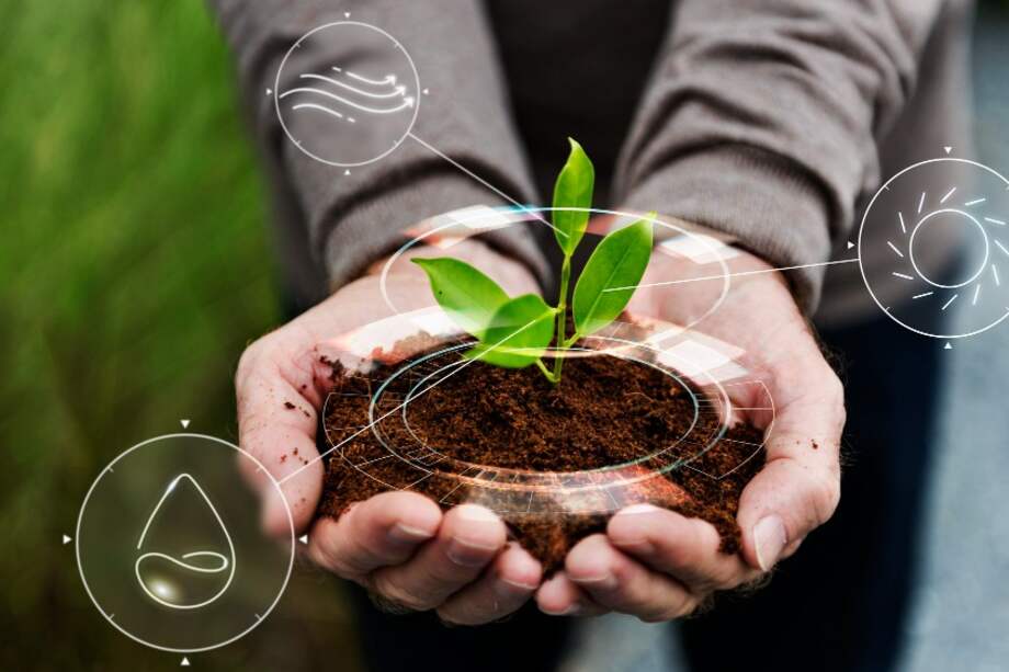 Travel with Purpose es la estrategia ambiental, social y de gobernanza (ESG) que Hilton desarrolla en el mundo.