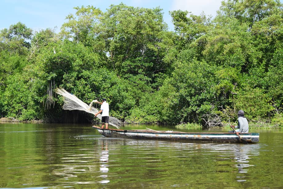 La principal actividad económica de la ciénaga es la pesca, con más de 3.600 pescadores que intervienen en esta área.