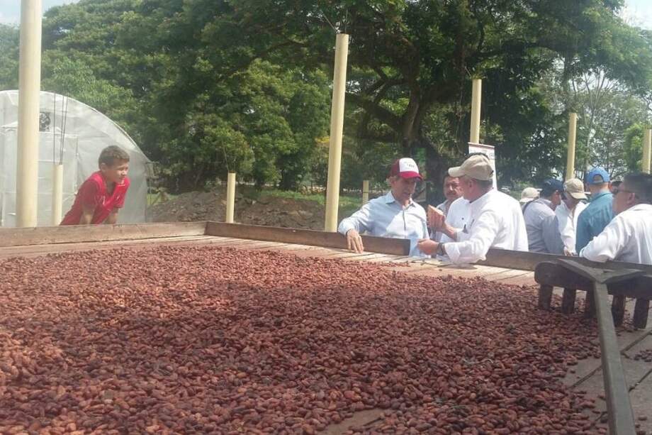 El alto consejero para el posconflicto, Rafael Pardo, en Arauquita. / Tomada de Twitter
