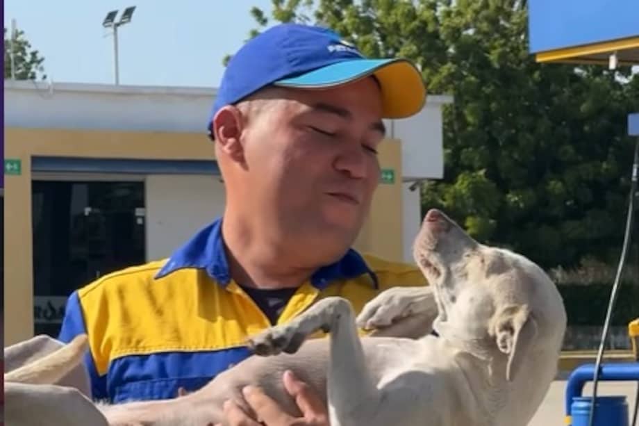 Fabián Paternina, uno de los empleados de la estación, se ha convertido en el principal cuidador de la perrita.
