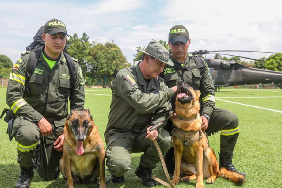 La decisión de vincular a los dos canes se debe a que son capaces de seguir el olor de las prendas de Luis Manuel Díaz.