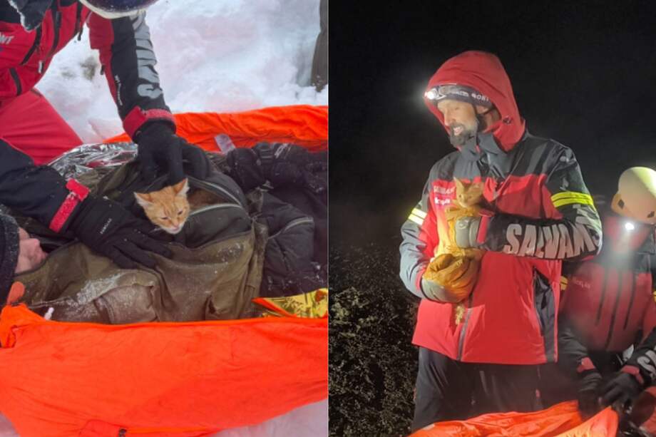 El animal y su dueño llevaban cuatro días sin comer.