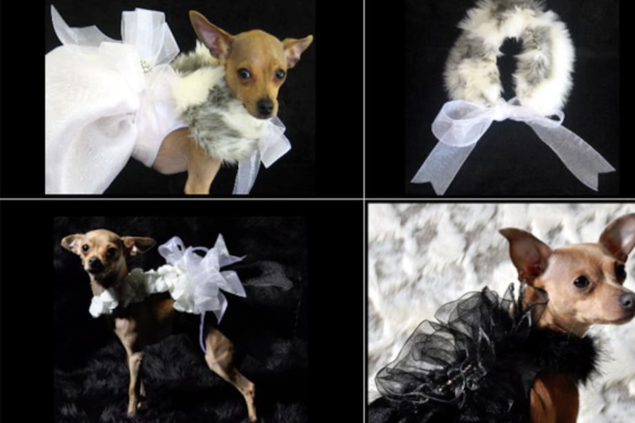 Kiki Hamann, diseñadora de alta costura canina