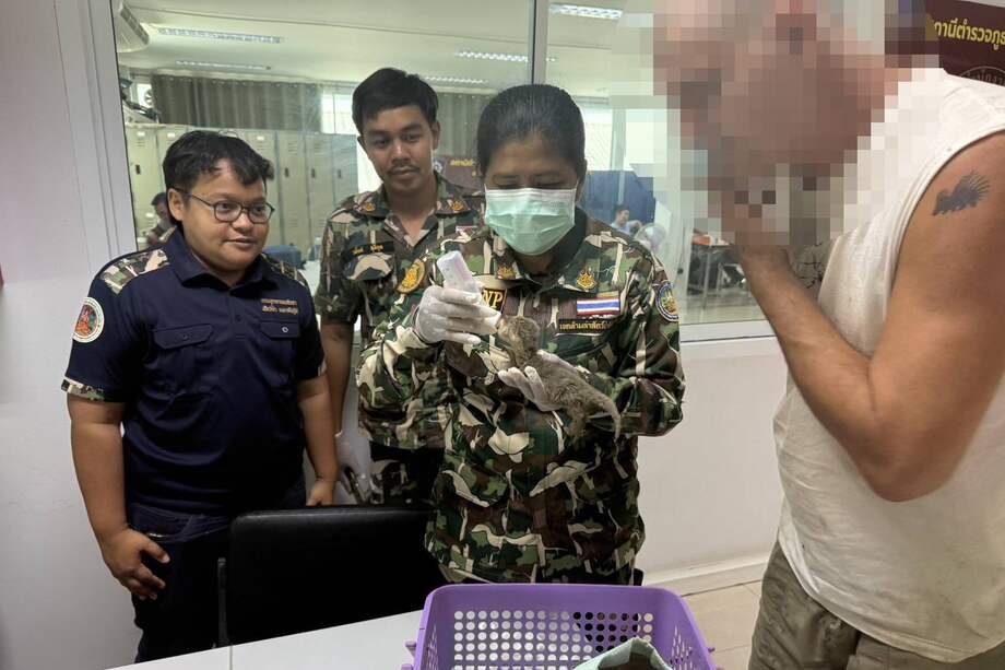 Frank Cuesta fue detenido en Tailandia por presunta posesión ilegal de animales salvajes protegidos y se encuentra este viernes en la comisaría de Lao Khwan (en la provincia central de Kanchanaburi) a la espera de reunirse con su abogado, confirmó a EFE la Policía.